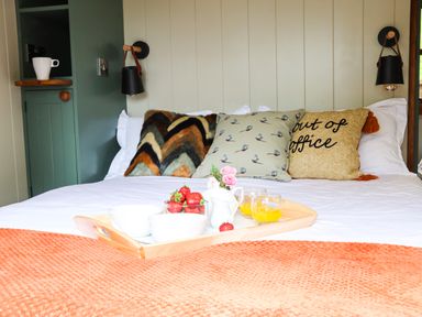 A bed with multiple cushions and a wooden tray holding bowls strawberries and glasses of orange juice at Little Silver Pheasant in High Bickington