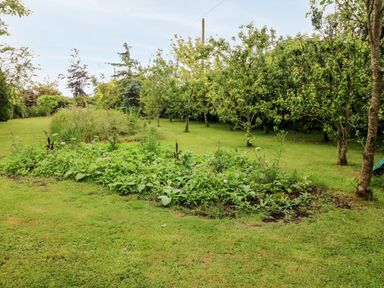 A garden with a flower bed surrounded by grass and trees at Teach Chiuin Coolaheen near Cappoquin County Waterford