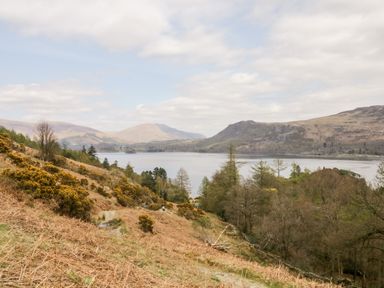 A hillside with bushes and trees overlooking a lake surrounded by mountains at Derwent Haven Keswick
