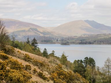 A hillside with bushes and trees overlooking a lake with mountains in the background at Derwent Haven in Keswick