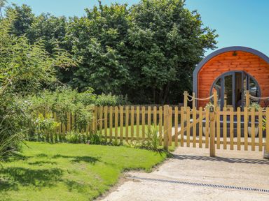 A wooden fenced garden with green grass and a curved wooden pod with glass doors at Filbert Pod in Arundel West Sussex