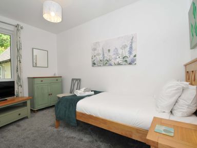 A bedroom with a single wooden bed white bedding a green blanket a green cabinet a chair a television and floral paintings at 60 Valley Lodge in Callington near Gunnislake