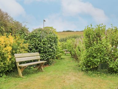 A garden pathway with two wooden benches surrounded by green bushes and grass at Chynance in Porthcurno