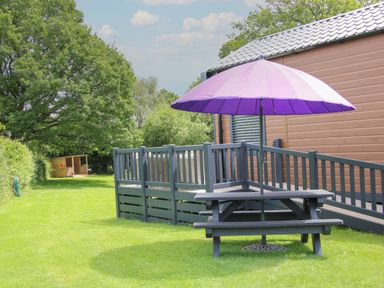 A picnic table with a purple umbrella next to a wooden building with a ramp and a grassy yard with trees and a small wooden shelter in the background at Jacob's Meadow Pod 2 in Minsterley near Chirbury
