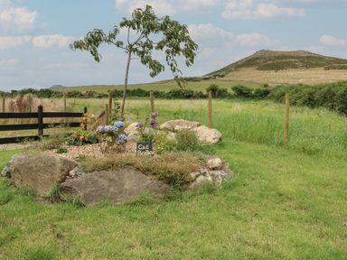 A small garden area with a tree, flowers, and a sign that says Cae Berllan with a grassy field, fence, and hill in the background at Cae Berllan in Mynytho near Pwllheli
