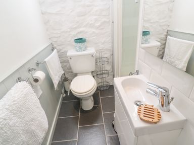 A bathroom with a toilet a sink with a faucet a soap holder a towel rack and a shower at The Little Net Loft in Mousehole near Penzance