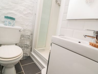 A bathroom with a toilet a sink and a shower at The Little Net Loft in Mousehole near Penzance
