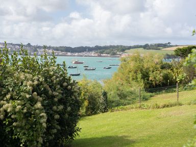 A garden with bushes overlooking a body of water with boats and a town in the distance at 4 The Terrace in Rock