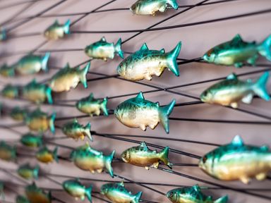 A wall decoration with multiple small green and gold fish mounted on wires at Little Belz in Polzeath