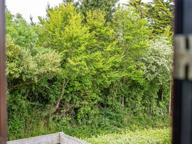 A view of green trees and bushes from a window at Hazelhurst Rock