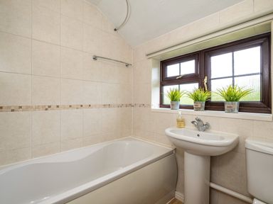 A bathroom with a bathtub sink toilet and three plants on the windowsill at Hazelhurst in Rock