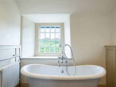A bathroom with a freestanding bathtub under a window with trees outside at Porthilly Greys in Rock