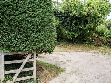 A dirt path beside a wooden gate and dense greenery at Porthilly Greys in Rock