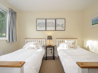 A bedroom with two single beds with white bedding and patterned pillows with a small table and lamp in between and framed pictures on the walls at Trevega in Polzeath