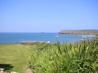 A coastal landscape with green grass and plants leading to a wooden fence and a view of the ocean and cliffs at Gullsway Kittiwake in Polzeath
