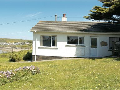 A white single-story house with two windows and a door on a grassy lawn with flowers at Gullsway September Tide in Polzeath
