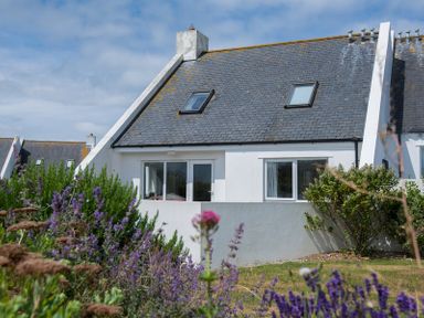 A white house with a sloped roof and skylight windows surrounded by a garden with purple flowers at Kirra in Polzeath