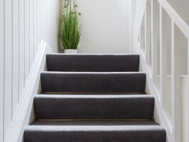 Carpeted stairs with white walls and a potted plant at Folly 2 in Port Isaac