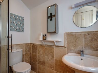 A bathroom with a toilet, sink, round mirror, wall cabinet, shelf with soap dispensers and toilet paper, and a seagull artwork on the wall at The Folly in Port Isaac