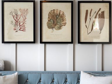 Three framed botanical prints hanging above a blue tufted sofa with pillows at Albany in Port Isaac