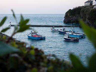Five boats moored in a small harbor with cliffs and houses in the background at Albany in Port Isaac