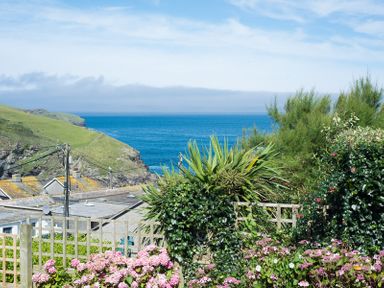 A garden with flowering plants and green shrubs overlooking rooftops and a cliff by the sea at Albany in Port Isaac