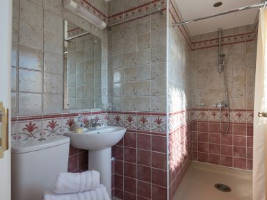 A bathroom with a toilet sink mirror and open shower area at Polmorla in Polzeath