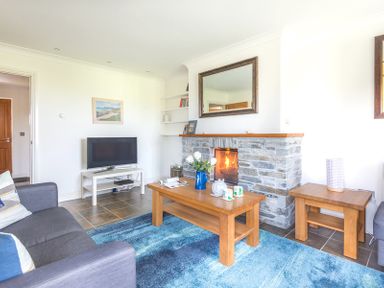 A living room with a grey sofa a wooden coffee table a stone fireplace a television on a white stand and a blue rug at Lundy Cottage in Rock