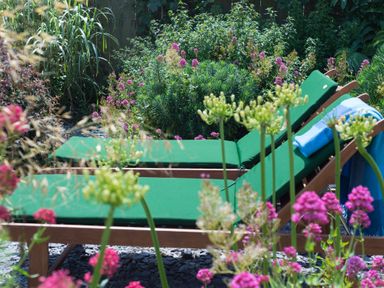 Two green cushioned wooden loungers with a blue towel on one surrounded by pink and green flowering plants in a garden