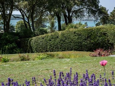 A garden with purple flowers green bushes and trees with a view of water at Rock Hill in Rock