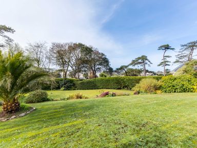 A garden with grass trees shrubs and hedges at Rock Hill in Rock