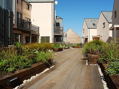 A wooden pathway with plants in raised beds between modern houses at The Beach Hut in Polzeath