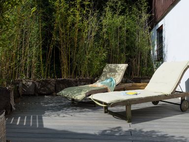 Two lounge chairs on a wooden deck with tall plants in the background at Sandy Hills 8 in Rock