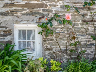 A small window with white frame in a stone wall surrounded by plants and a rose at St Michaels Rock