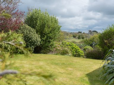 A garden area with grass and various shrubs and bushes under a cloudy sky at Penny Liggan in Rock