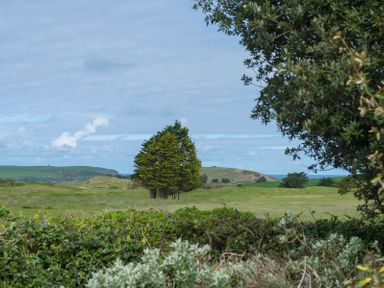 A grassy landscape with trees and hills under a partly cloudy sky at Penny Liggan in Rock
