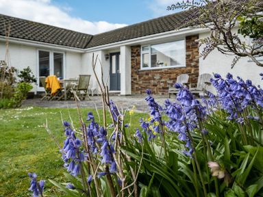 A garden with blue flowers and outdoor chairs in front of a house at Corriana in Rock