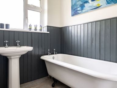 A bathroom with a pedestal sink and a clawfoot bathtub with gray wood paneling and a window with small plants on the sill at Corriana Rock