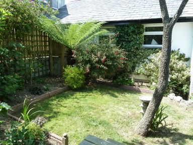 A small garden with grass, a tree, various plants, a birdbath, and a house wall with windows and ivy at Fairholme in Port Isaac