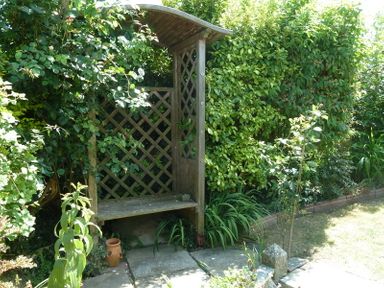 A wooden garden bench with lattice back surrounded by plants and greenery in an outdoor garden