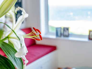 A close up of white lilies with a red cushion on a bench under a window at Trevan House Lundy in Polzeath