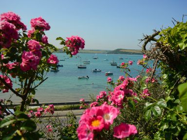 A view of boats on water with pink flowers in the foreground at Artemis in Rock