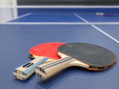 Two table tennis paddles on a blue table tennis table at Artemis Rock