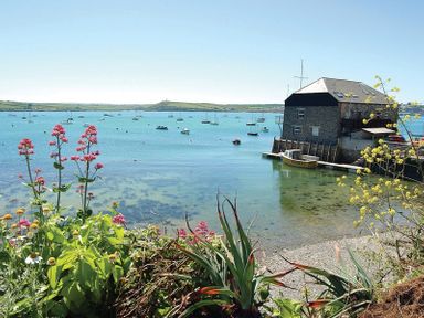 A coastal scene with boats on water flowers in foreground and a stone building on the right at Kipper Cottage in Port Isaac