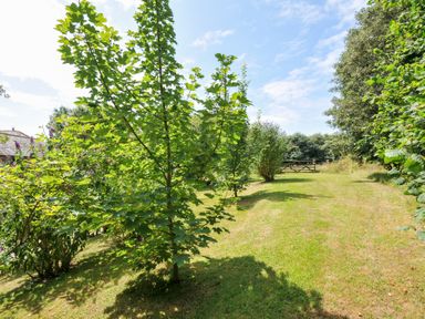 A garden with trees and grass at Orchard Cottage Polzeath
