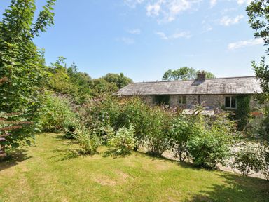 A garden with a house and greenery at Orchard Cottage in Polzeath