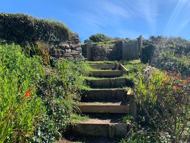 Outdoor wooden steps with stone walls and gate surrounded by green plants under a blue sky at Egloskerry in New Polzeath