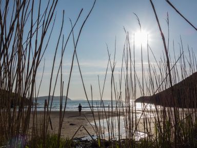A person walking on a beach near the ocean with tall grasses in the foreground and hills in the background at Egloskerry in New Polzeath