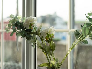 A bunch of white flowers with green leaves in front of a window at Sea Glimpses in Port Isaac