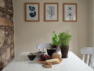 A dining table with plants bowls bread grapes and cheese against a wall with framed sea life prints at Swallow Cottage in Port Isaac
